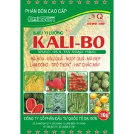 Kali – Bo